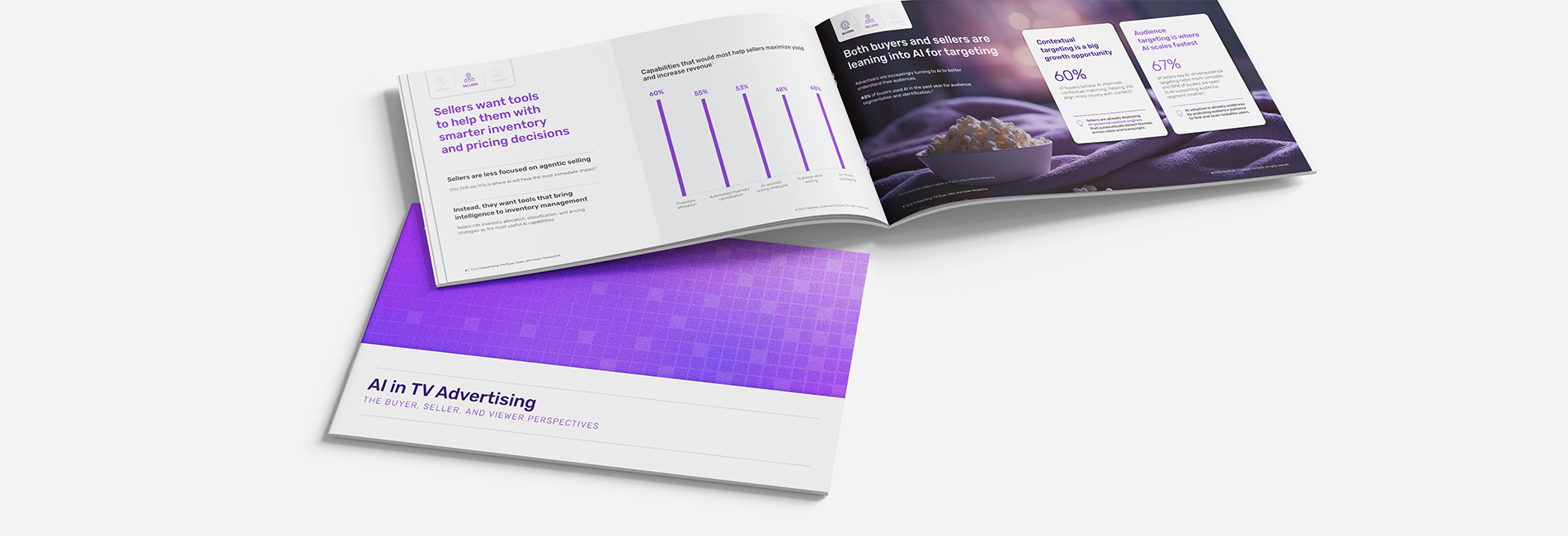 Report, AI in TV Advertising