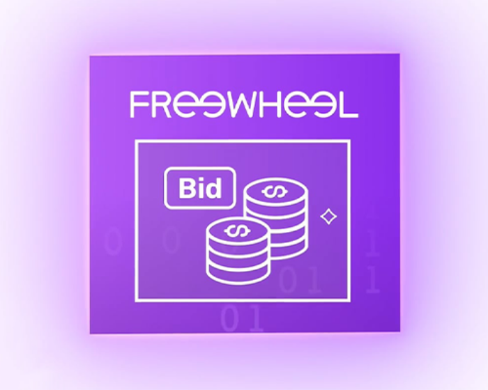 Illustration of FreeWheel bid enrichment